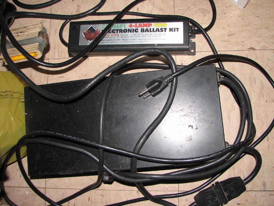 852a0493.jpg