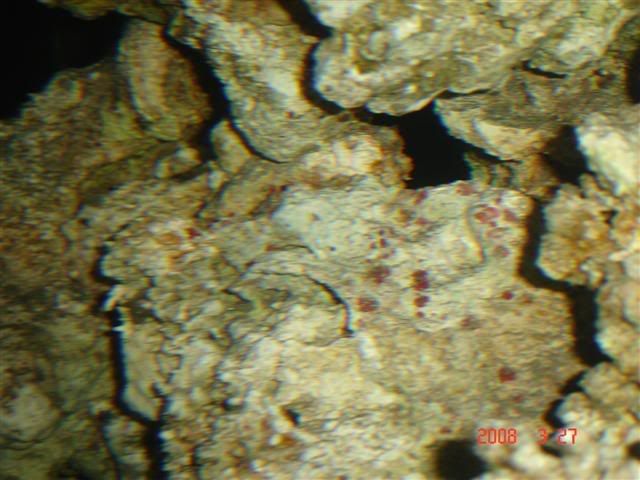 DSC01761Small.jpg