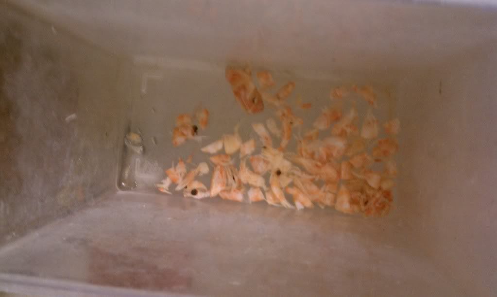 IMAG0719.jpg