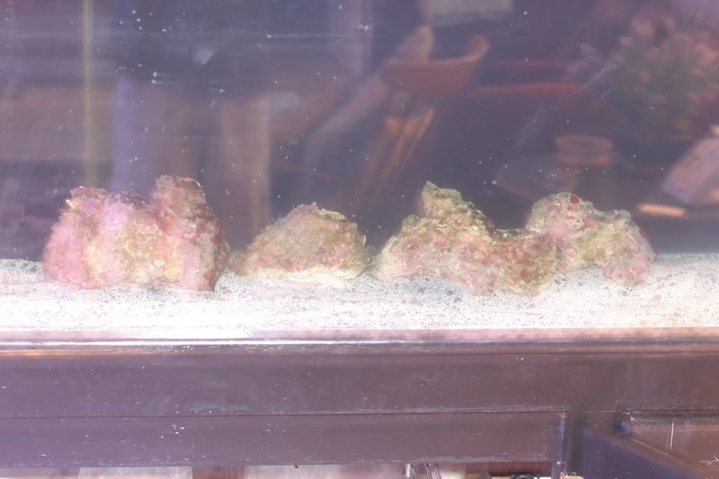 11-27-084.jpg