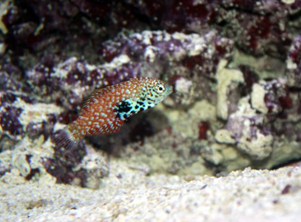 IMG_6744.jpg