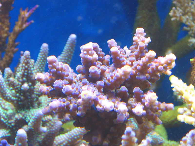 IMG_0009.jpg