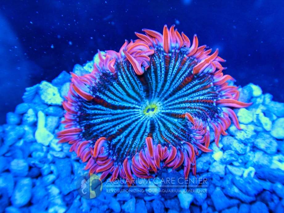 C6P7CQ7.jpg