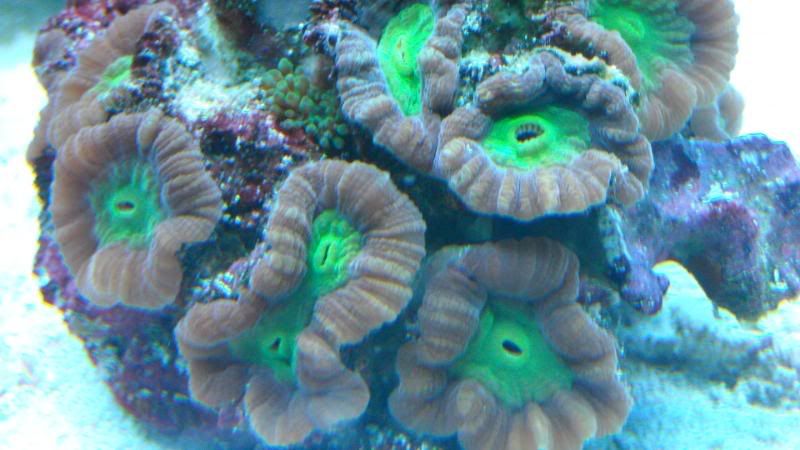 DSCN0756.jpg