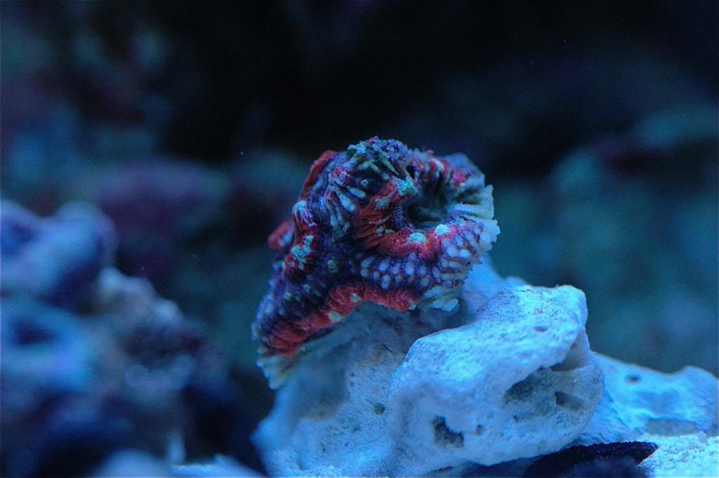 DSC_0002.jpg