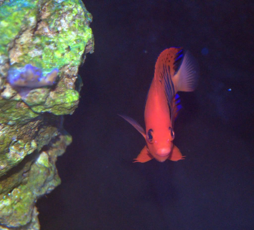 DSC_0329NEF.jpg