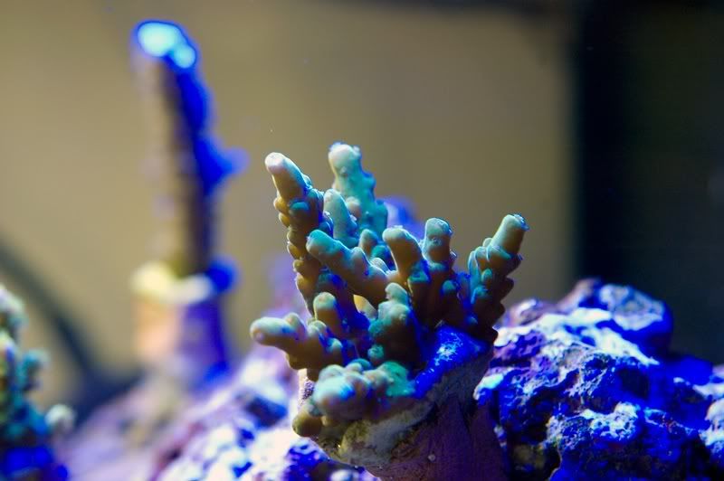 DSC_3659.jpg