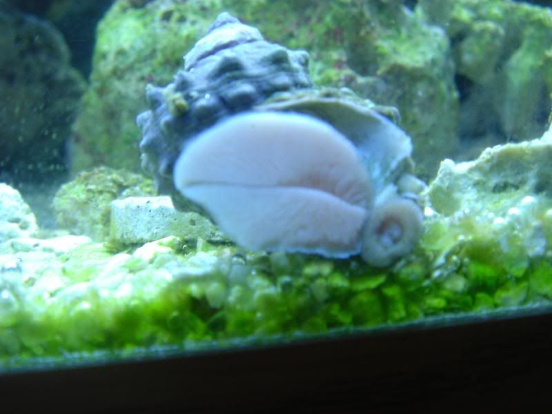 DSC03632.jpg