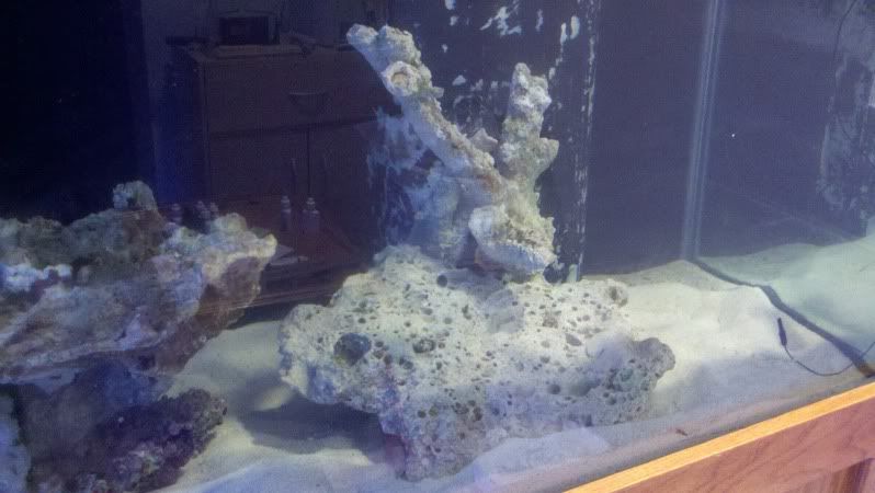 2011-06-15_19-40-46_394.jpg