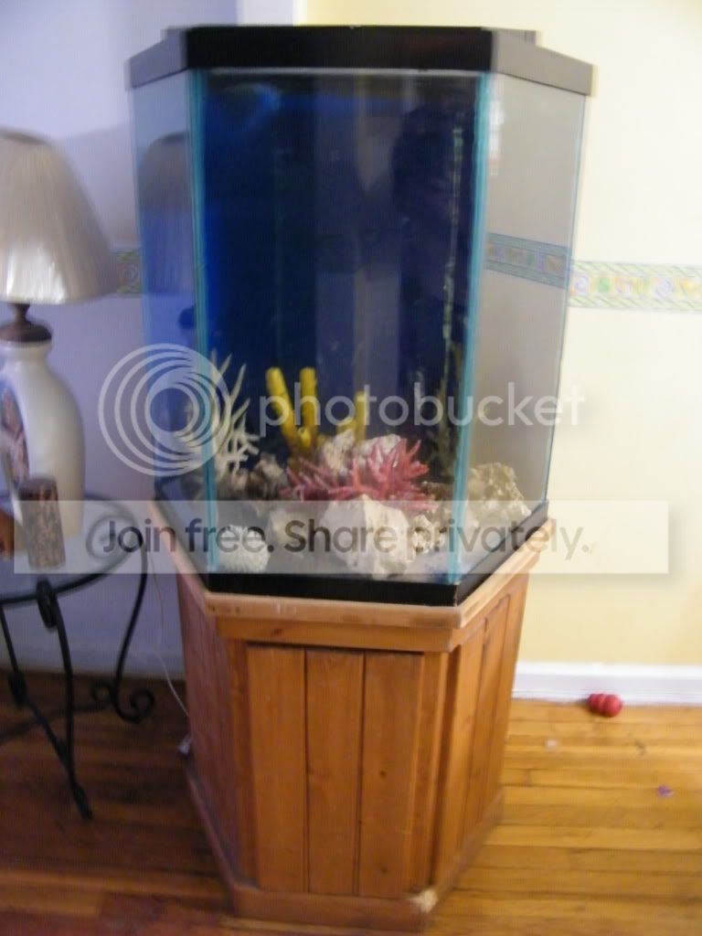 DSCF7703.jpg