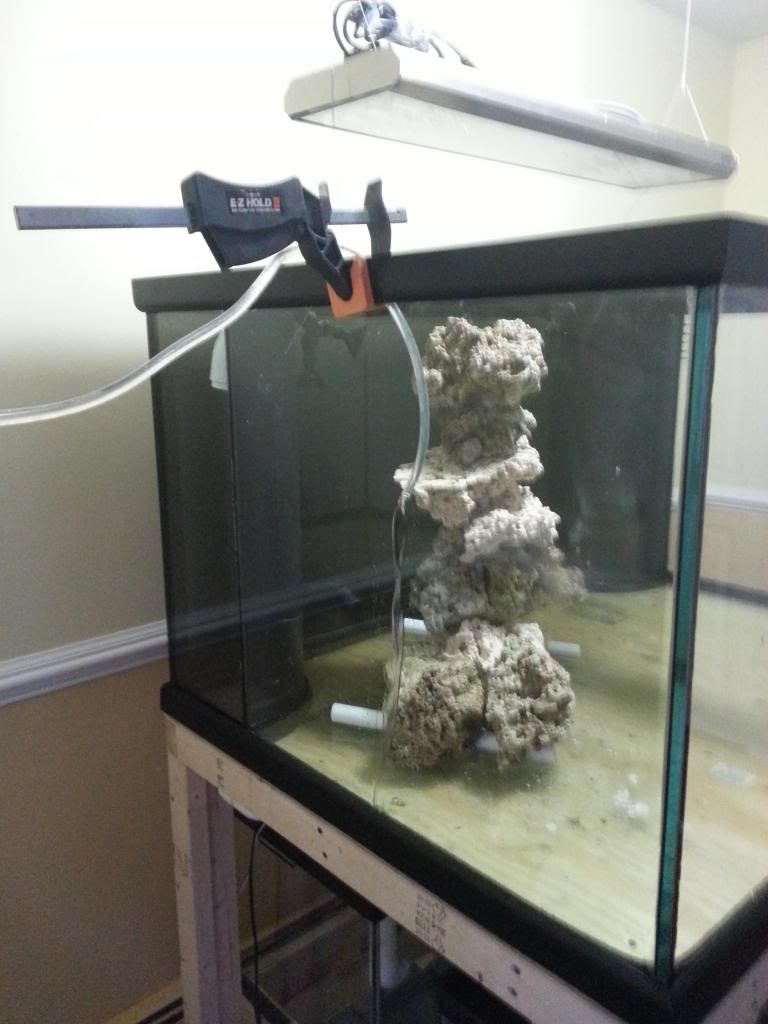 20121212_140334.jpg