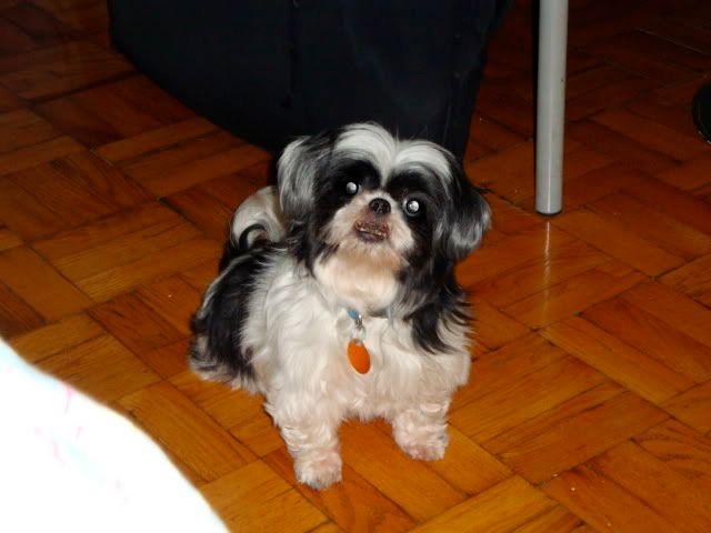 DSC00031.jpg