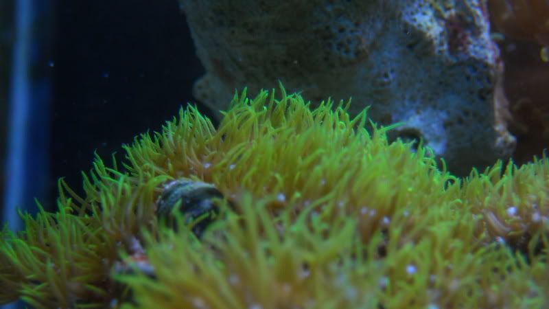 DSCN1597.jpg