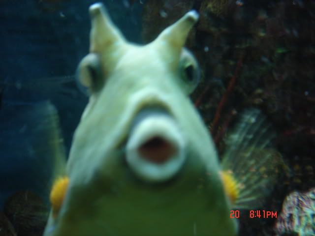 DSC01400.jpg