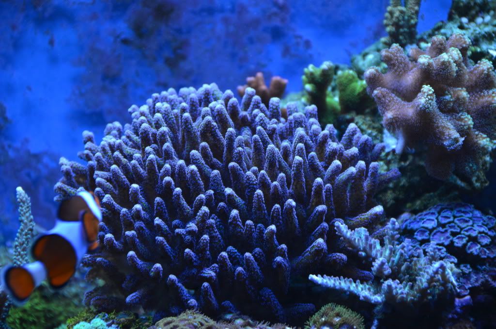 DSC_1836.jpg