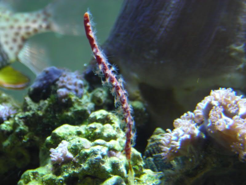 DSCN2103.jpg