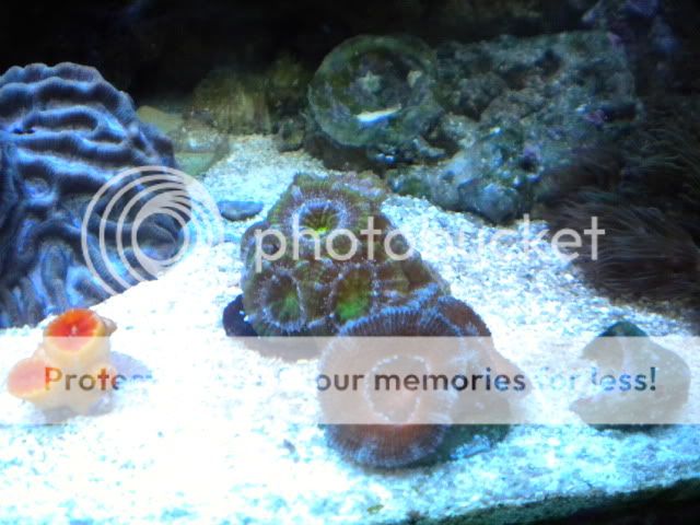 DSCN1433.jpg