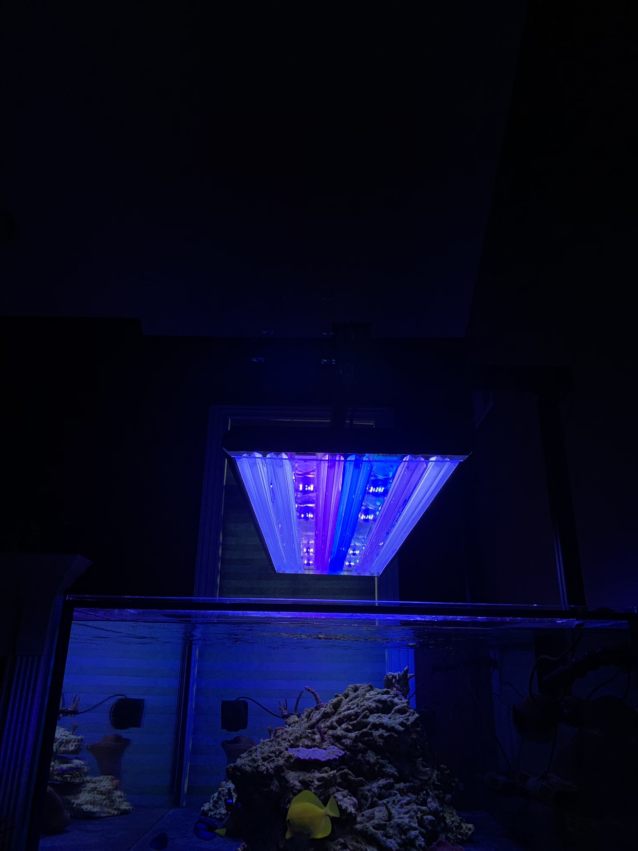 ae19769913f3e52c304cd91678bf781c.jpg