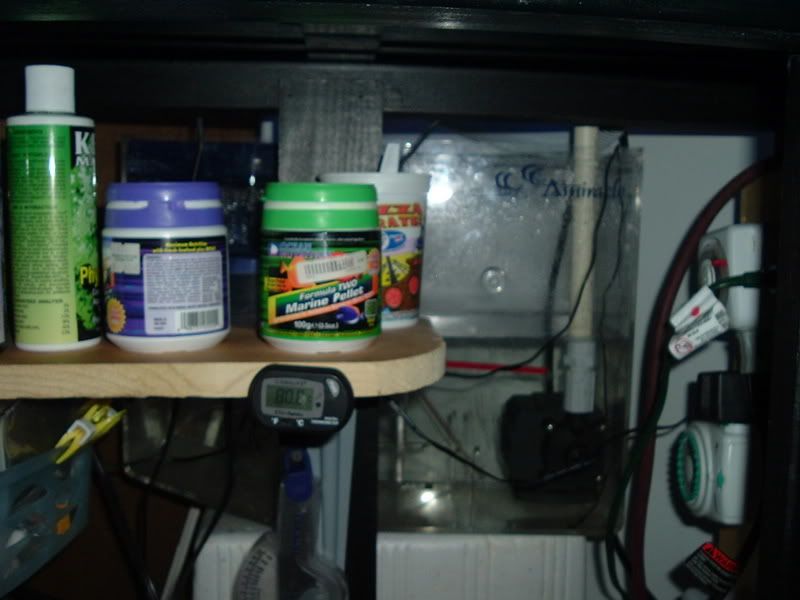 DSCF0351.jpg