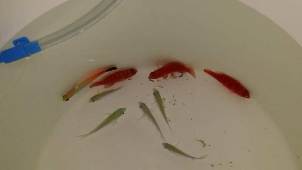 2015-01-16221309_zpsa9877d94.jpg
