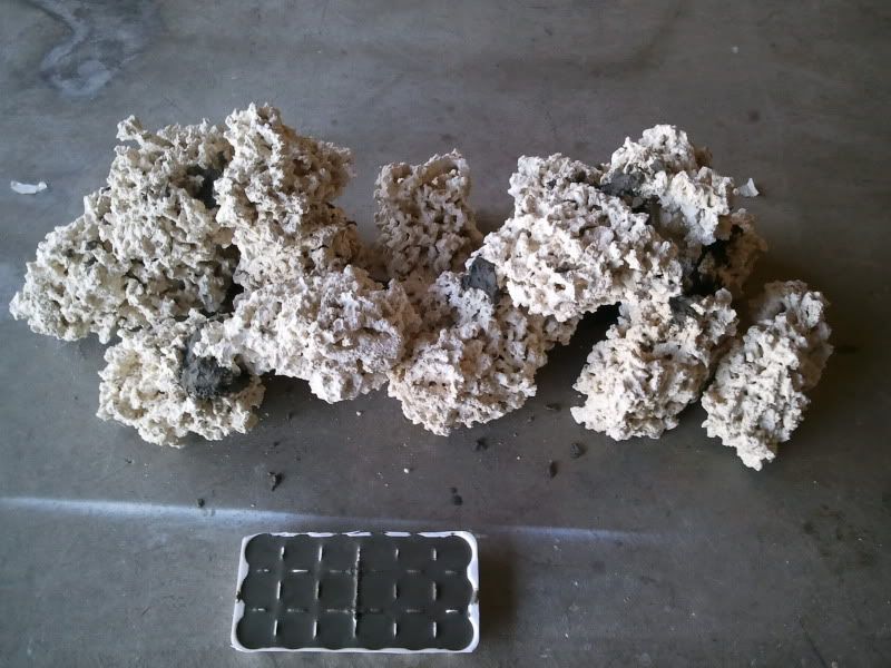 2011-03-27161538.jpg