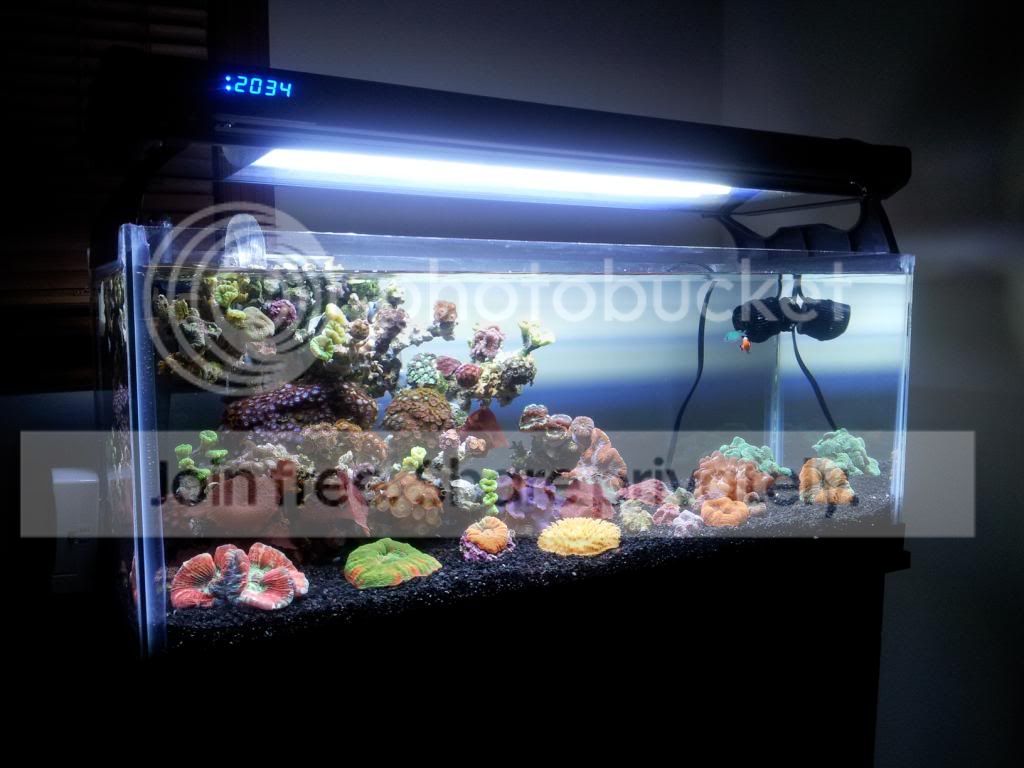newfts_zpsd8089c48.jpg