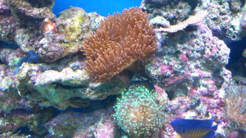 DSCN0794.jpg