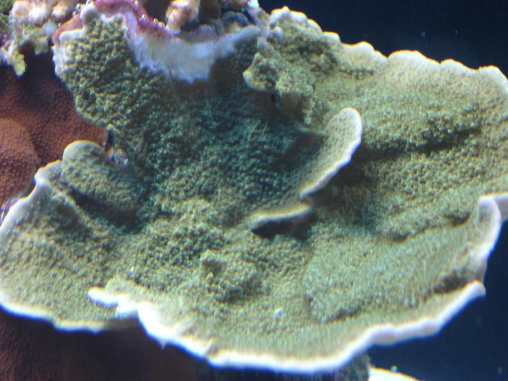 DSC04624.jpg