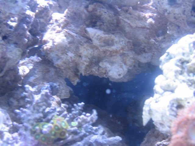 IMG_1152.jpg