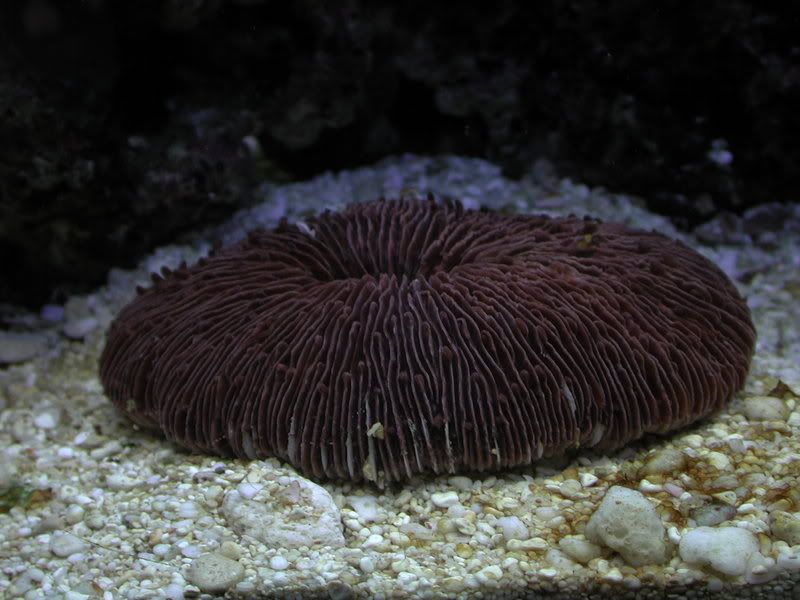 DSCN2256.jpg