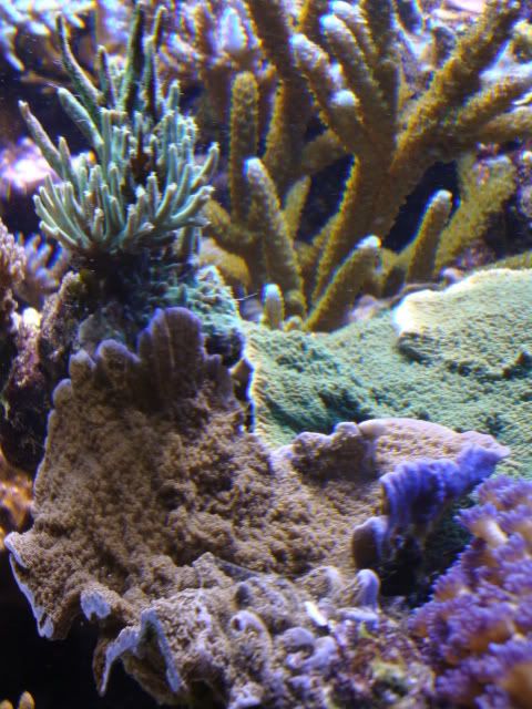 DSC01316.jpg