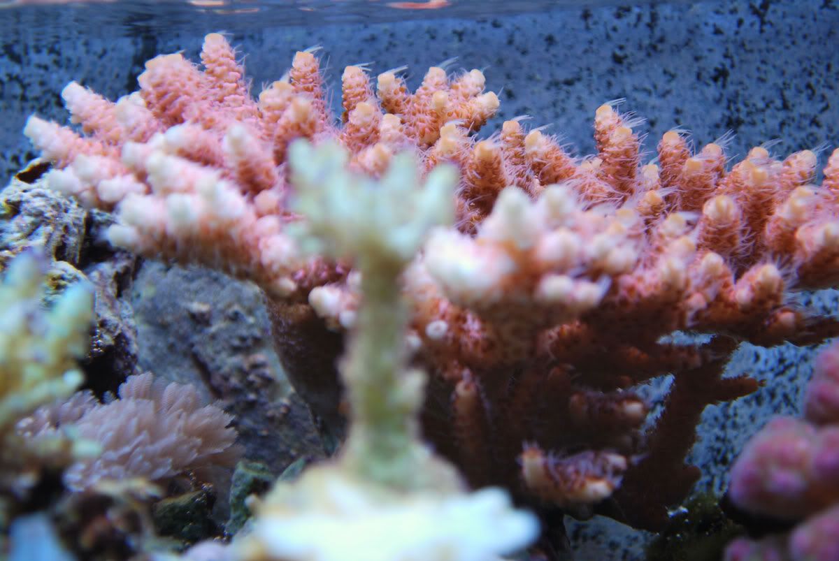 DSC_0025.jpg