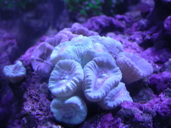 DSCN1255.jpg