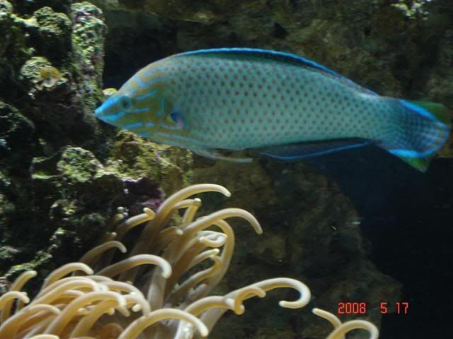 DSC02064Small.jpg