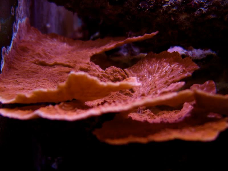 IMG_7898.jpg