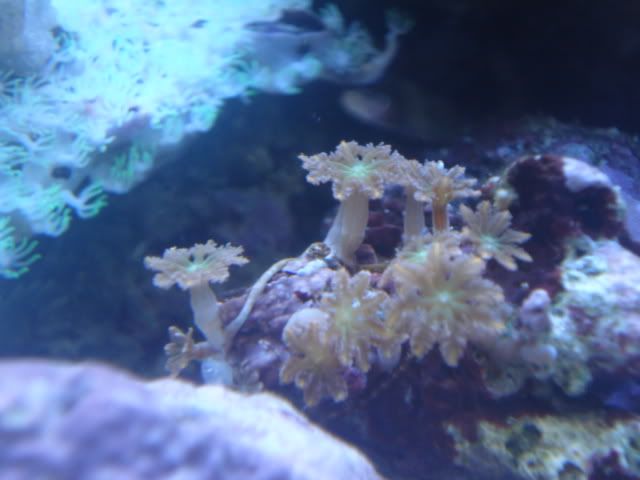 DSC03883.jpg