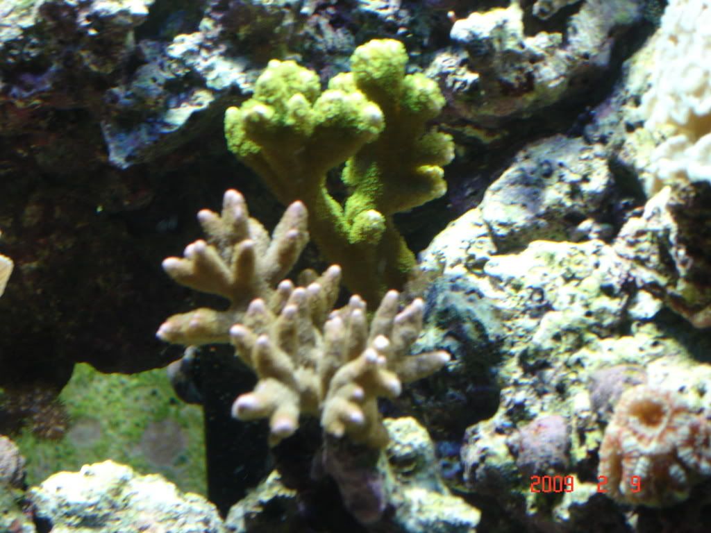 DSC02880.jpg
