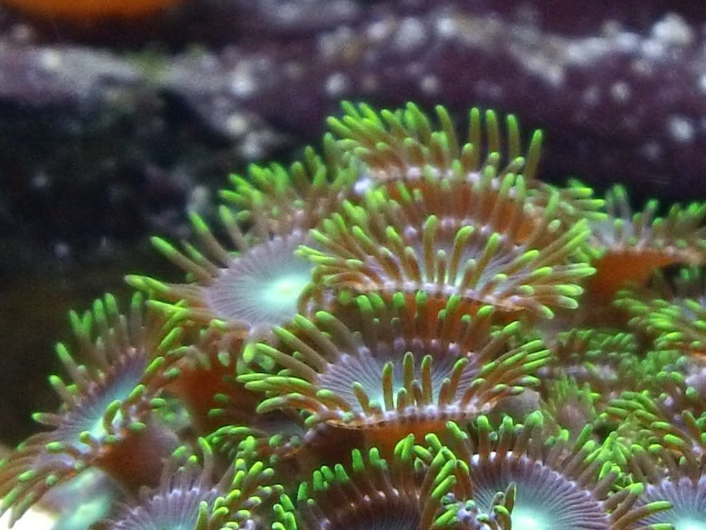 DSC00236.jpg