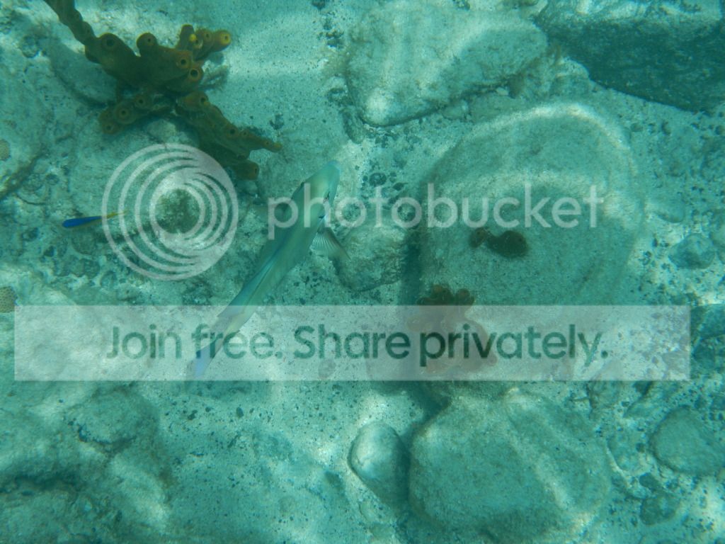 DSCN0477.jpg