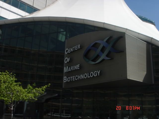 DSC01302.jpg