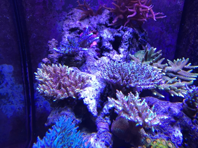 3b8ccdf989f490c11351d324ad4528b4.jpg