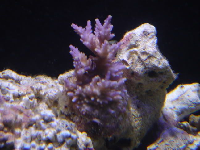DSC00362.jpg