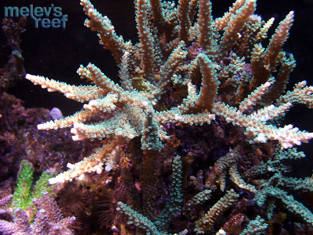 td_scripps_0920.jpg