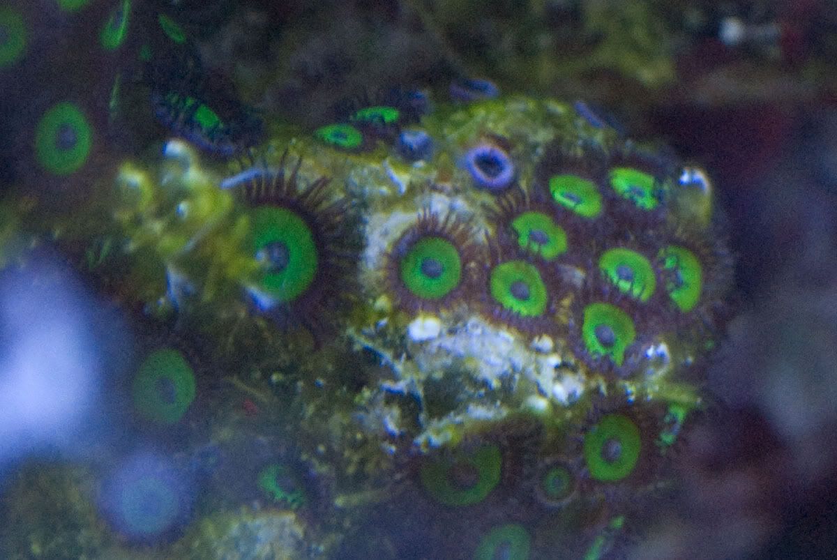 DSC_0649.jpg