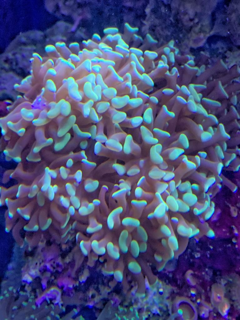 314d626b0a4b22b613fc37a9a6340ec9.jpg