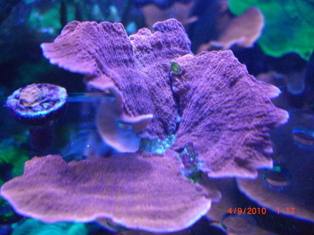 CIMG2880.jpg