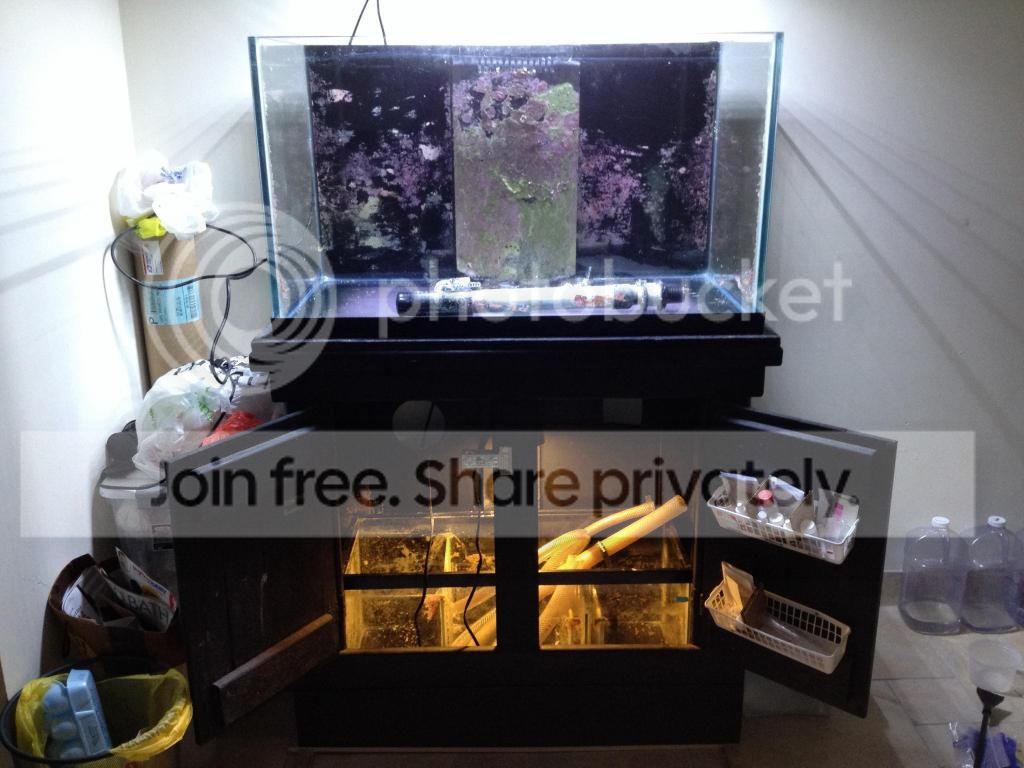 imagejpg4_zps2089dde5.jpg
