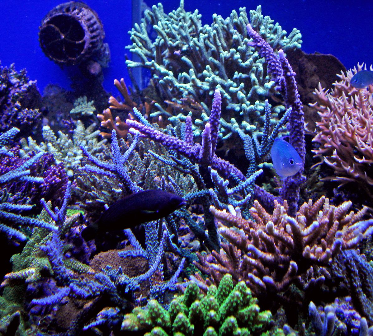 Nov282009067misc1.jpg