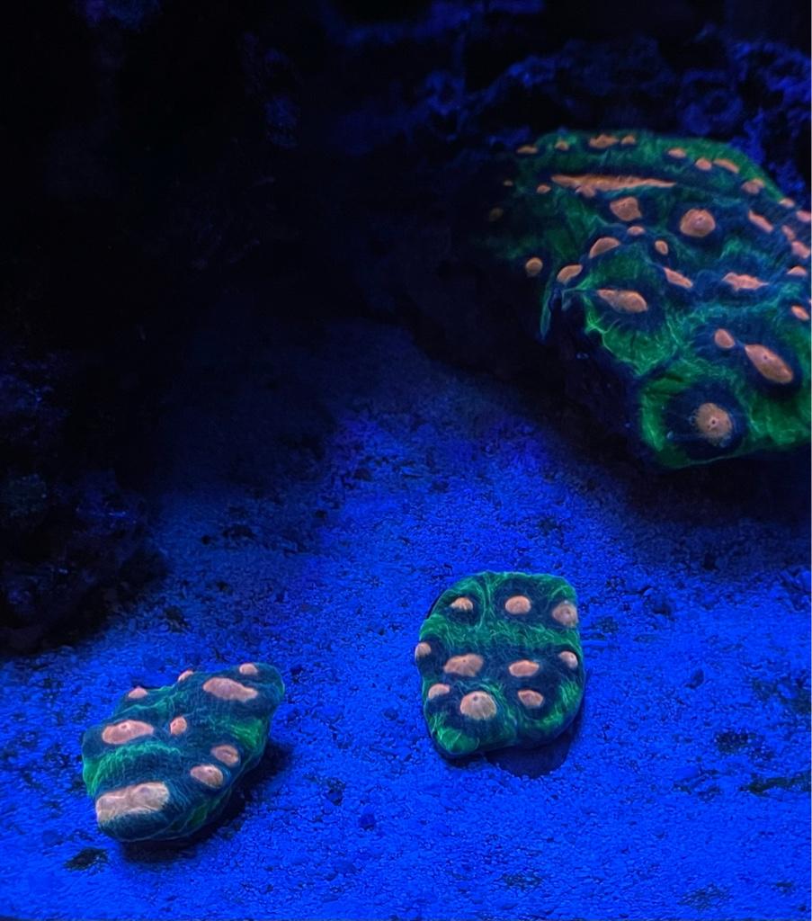 240af23925b7cc5849aa7ae1cbdbb6c6.jpg