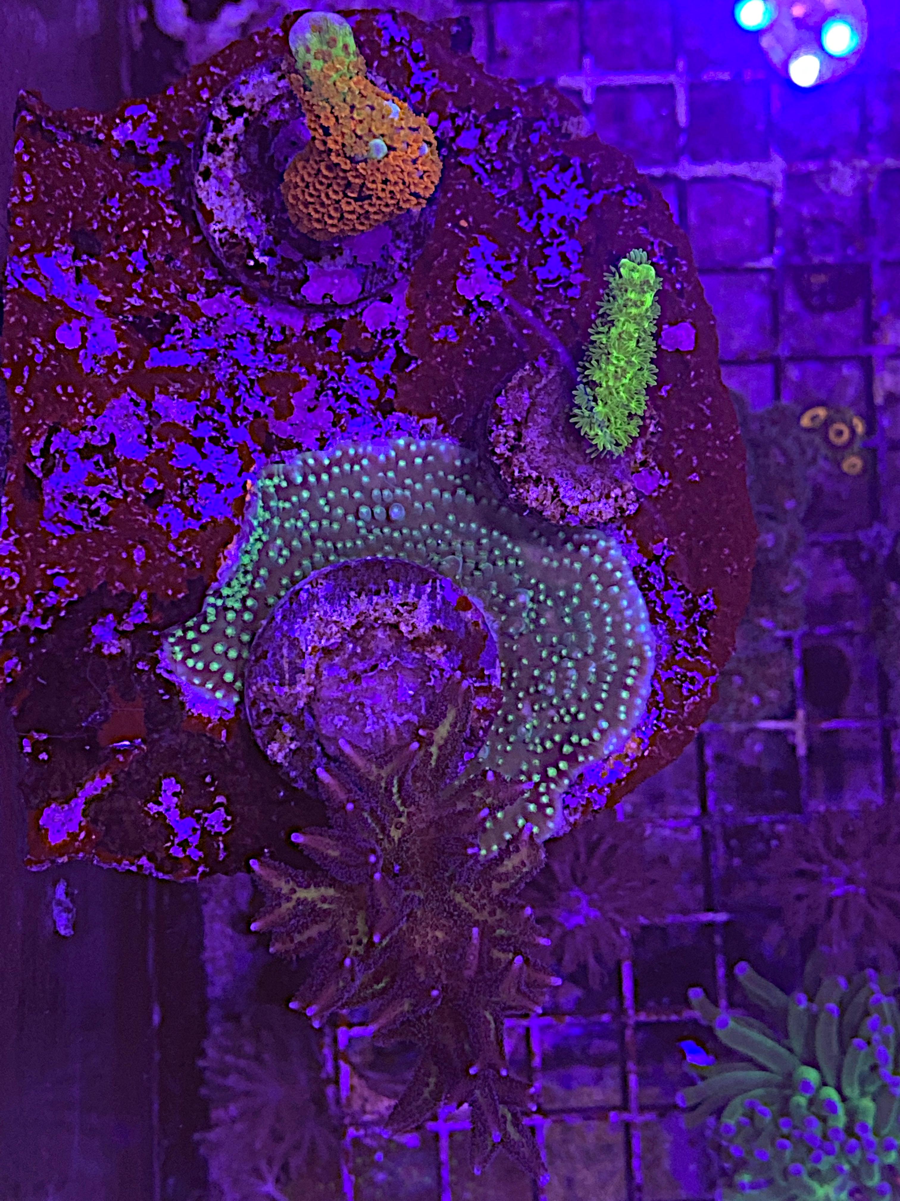 6ab3603f44775c78ba40c0ba5a0f9bb5.jpg